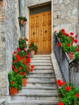 Drzwi z kwiatami