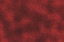 Dragon skin red background