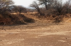 Dry Bed On An Empty Dam In Winter