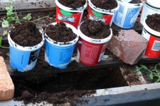 Empty Used Containers With Soil