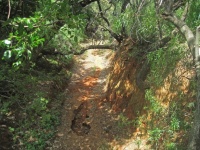 Anzeichen von Erosion in einem Graben