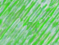 Green Abstract Of Corrugated Iron