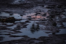 Low Tide Puddle Reflection