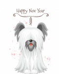 Skye Terrier Capodanno