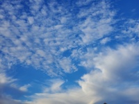 Cirrus Cloud And Buttermilk Sky