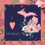 I Love Michigan Poster