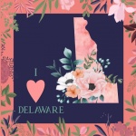 I Love Delaware Poster