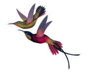 Arte vintage do pássaro colibri