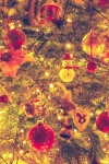 Lit Christmas Tree Detail