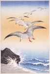 Seagulls fåglar havet vintage