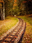 Ferrovia in autunno