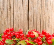 Red berries on wooden background