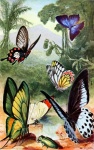 Vlinders mot kunst vintage