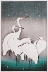 Little Egret White Bird Vintage