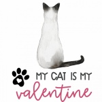 Siamese Valentine&039;s Day Cat