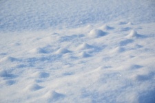 Snöigt fält