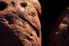 Soil On A Textured Sweet Potato