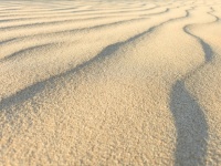 Drobné písečné duny pozadí