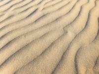 Fundo de pequenas dunas de areia
