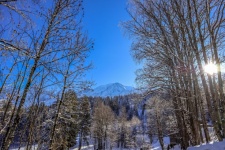 冬の山の風景