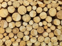 Sfondo di tronchi di legno