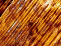 Yellow Brown Abstract Of Corrugated