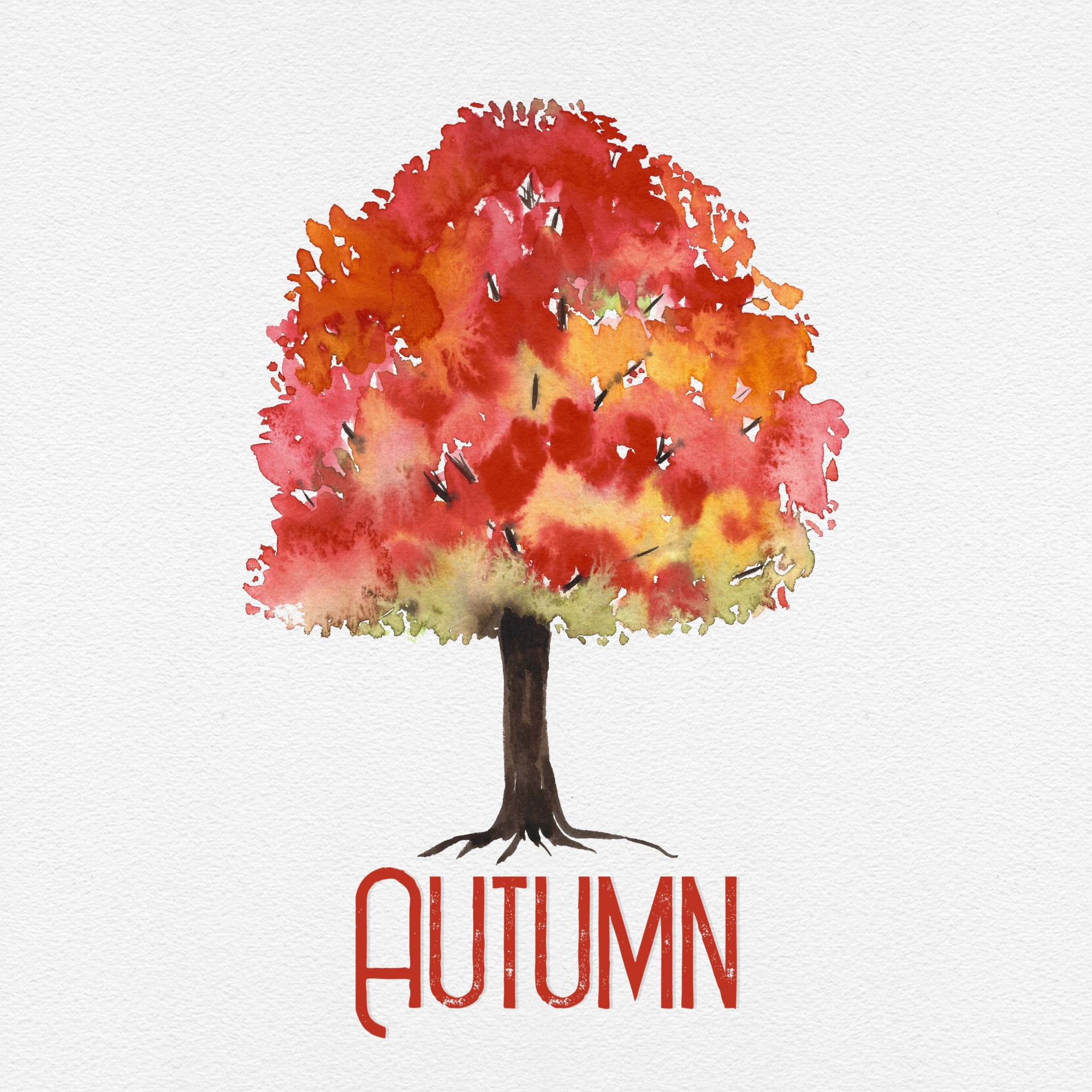 autumn-tree-free-stock-photo-public-domain-pictures