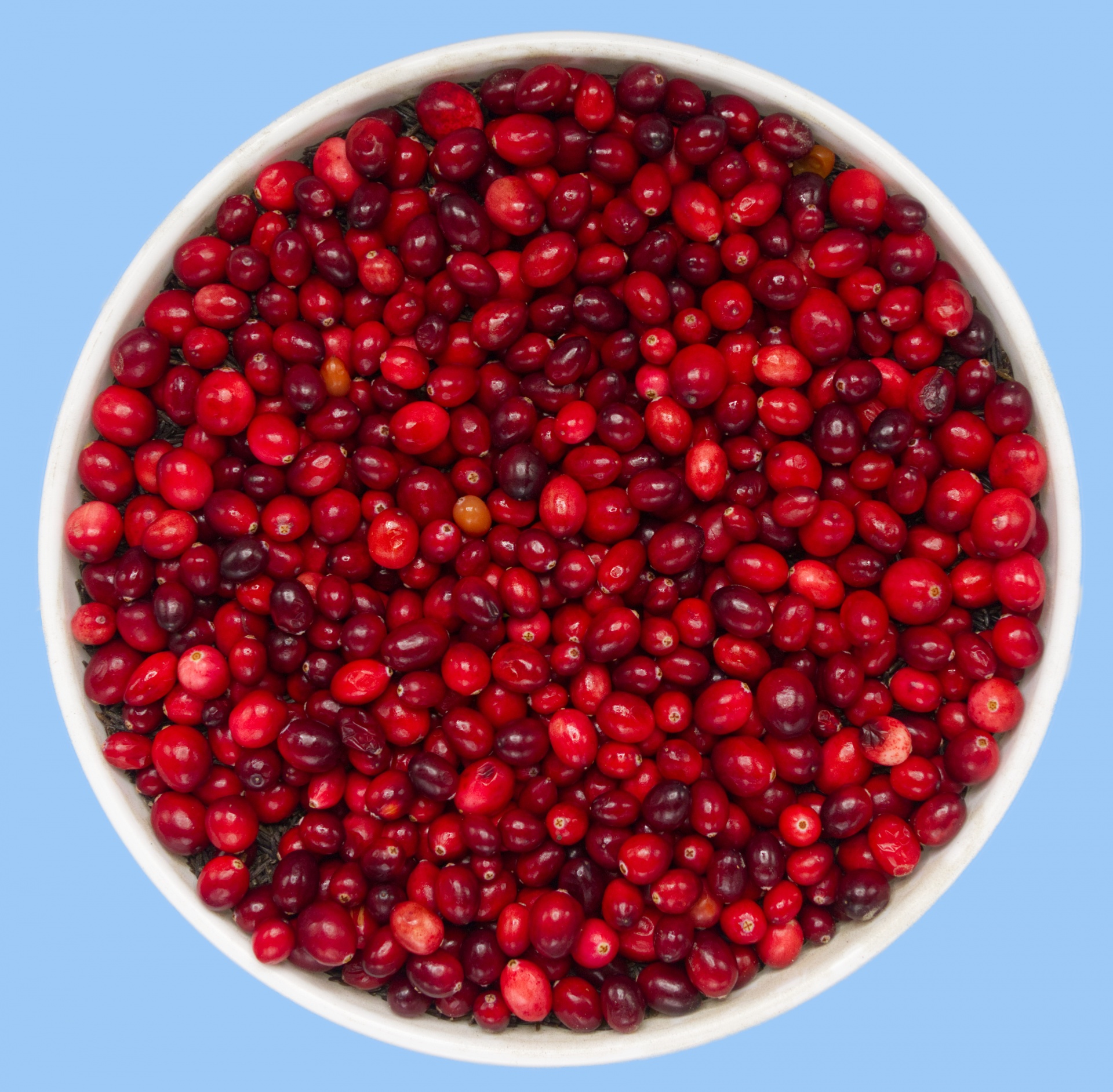 Bucket Of Cranberries Free Stock Photo - Public Domain Pictures