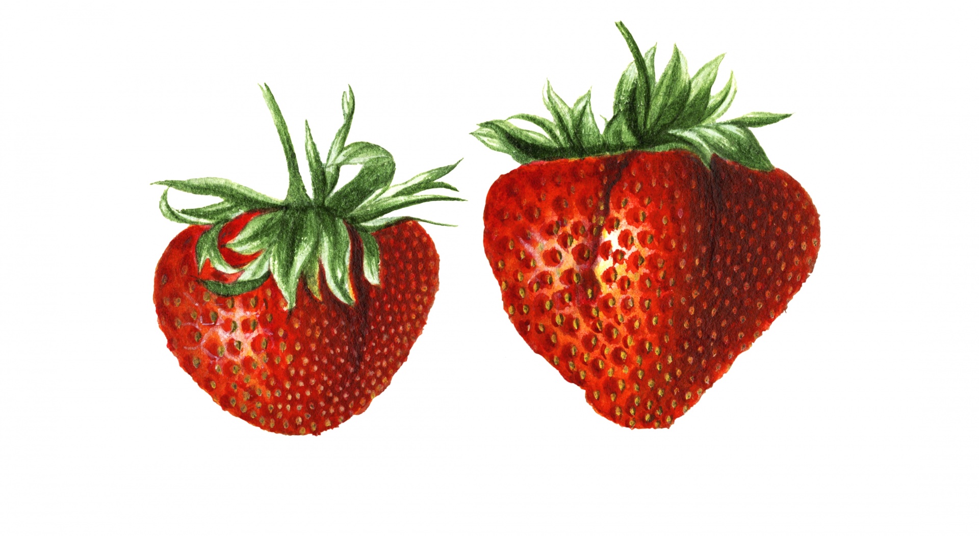 Strawberries Fruits Vintage Art Free Stock Photo - Public Domain Pictures