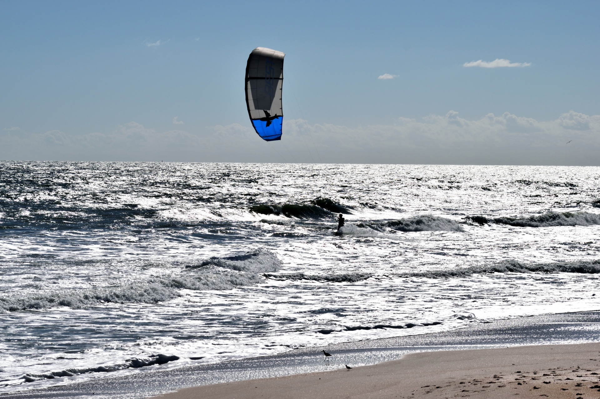 风筝冲浪者在海洋海滩免费图片 Public Domain Pictures