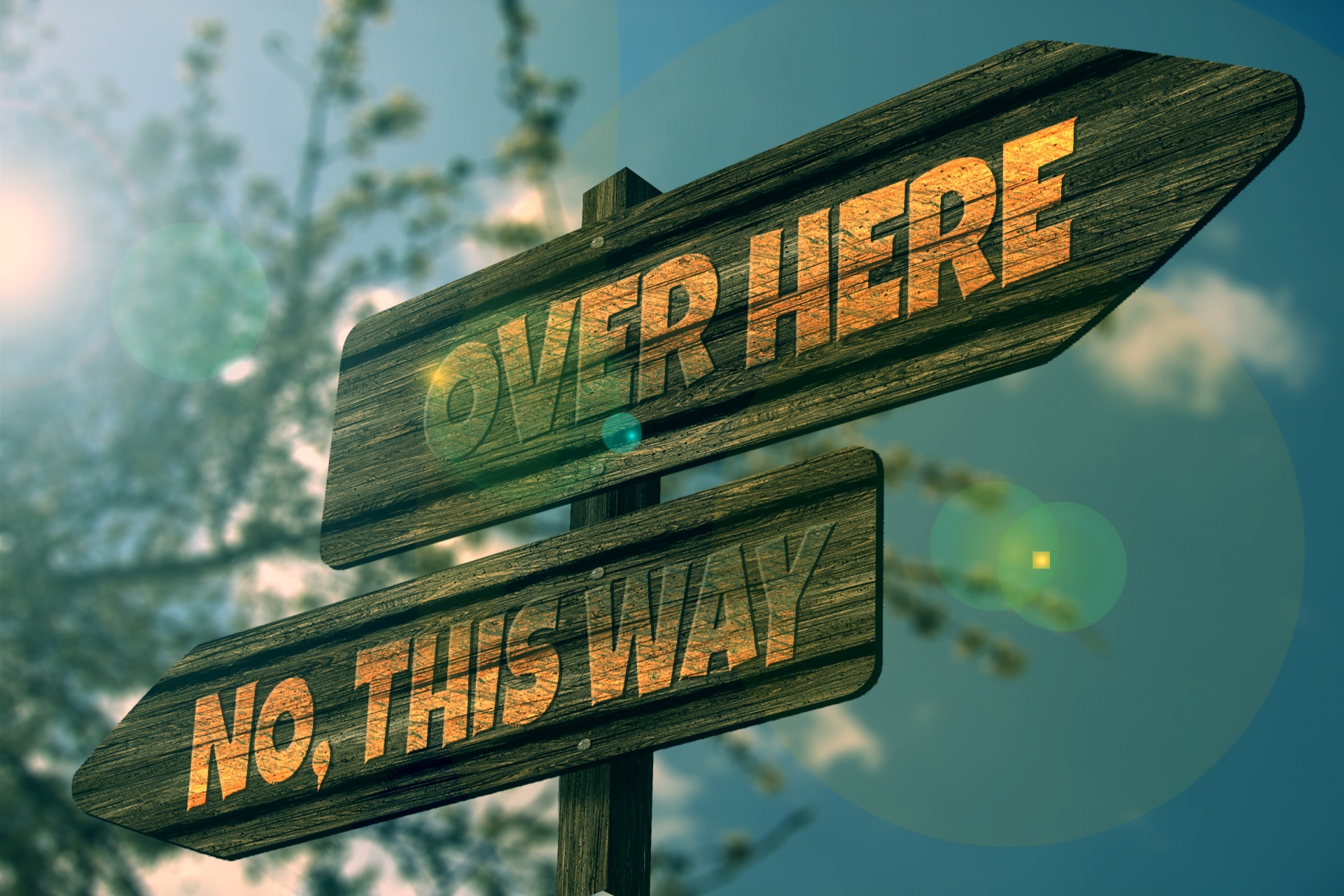 Over Here - No, This Way Free Stock Photo - Public Domain Pictures