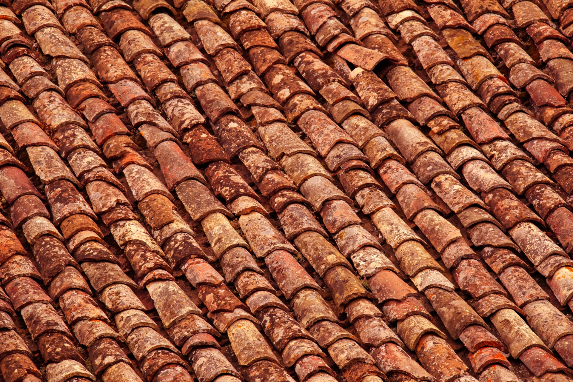 Terracotta Roof Tiles Free Stock Photo - Public Domain Pictures