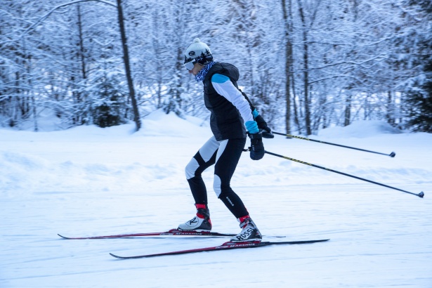 Cross-country Skiers Free Stock Photo - Public Domain Pictures