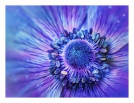 Цветок цвести синий винтаж