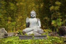 Posąg Buddy w słońcu