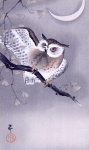 Owl Vintage Art Old