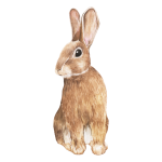 Bunny Easter Vintage Clipart