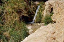 Hidden Waterfall In Mountain Oasis