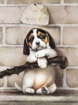 Pies rasy beagle szczeniak vintage