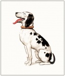 Hund Jagdhund Dalmatiner Vintage