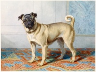 Hond vintage schilderij oud