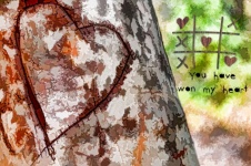 Corazón tallado en tronco de árbol