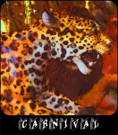 Leopard Carnival Poster