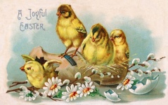 Ostern Vintage Postkarte alt