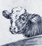 Arte vintage de vaca de ternera