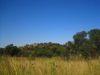 South African Landscape With Grass