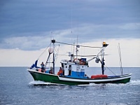 伝統的な漁船