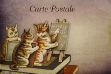 Tarjeta de ilustración de gatos vintage