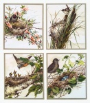 Arte vintage nido de pájaro