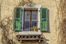 Window With Green Shutters